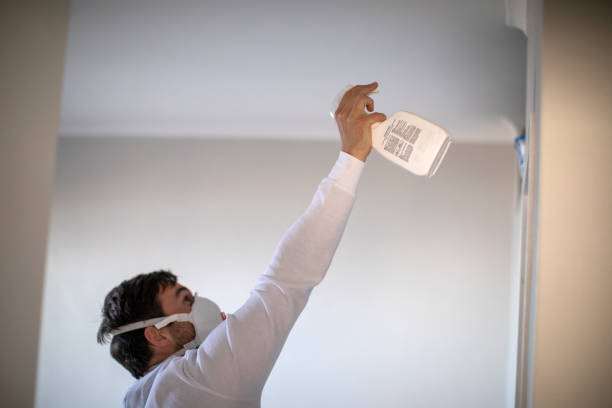 Best Insurance-Related Mold Remediation in Jackson, AL